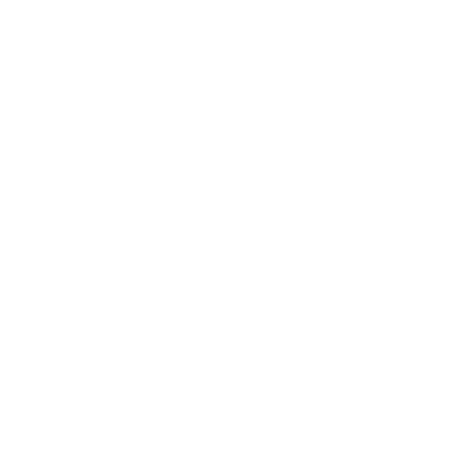 Custom Web & ERP Systems